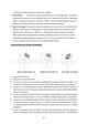Page 56 Thumbnail