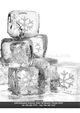 Page 36 Thumbnail
