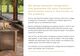 Page 3 Thumbnail